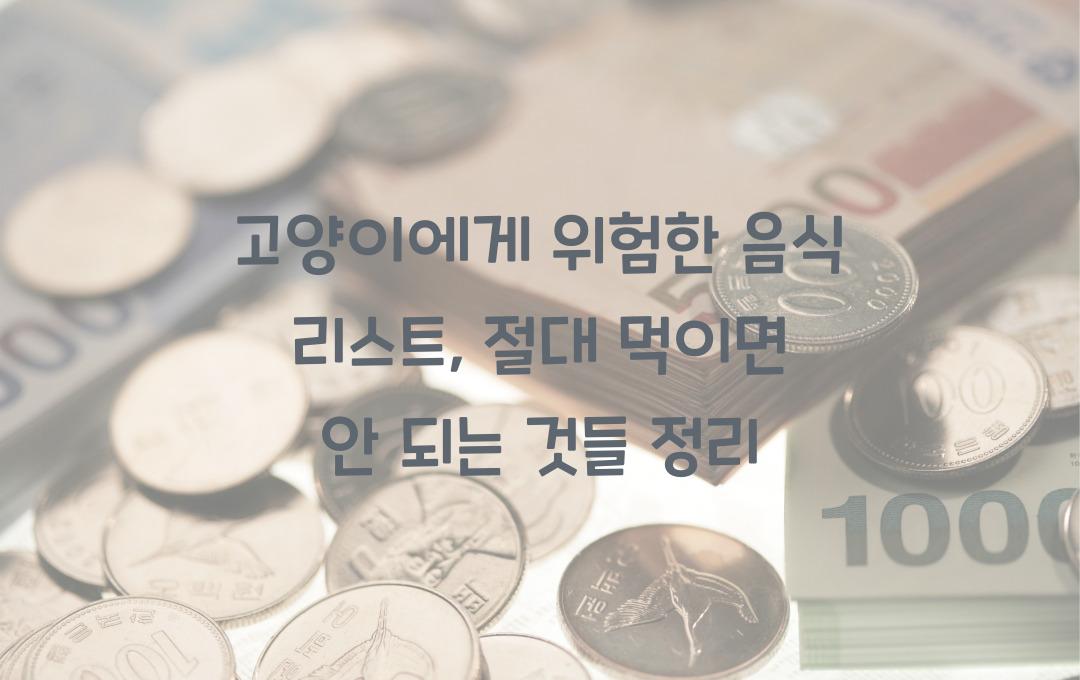 고양이에게 위험한 음식 리스트, 절대 먹이면 안 되는 것들