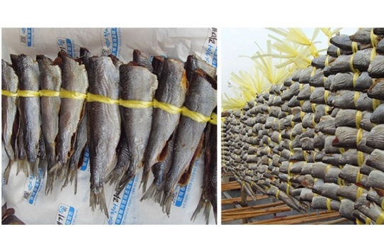 6시내고향-영덕청어과메기