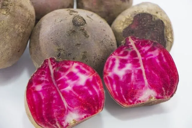 말린 비트차 베타레인 색소 성분