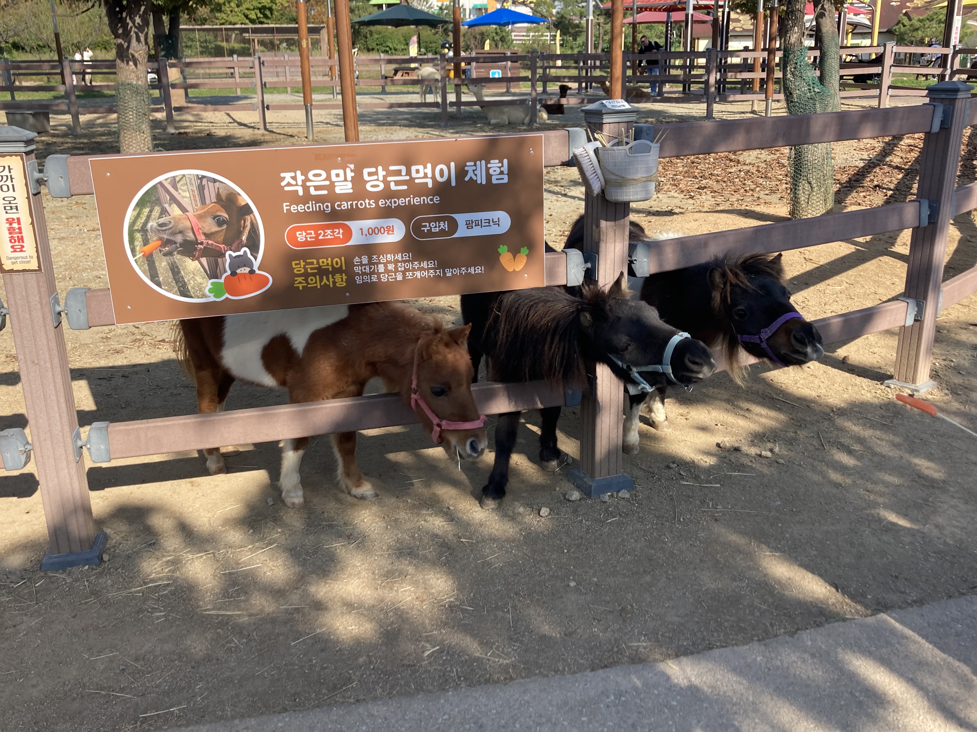 안성팜랜드