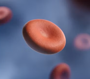 빈혈 증상 원인 치료 방법