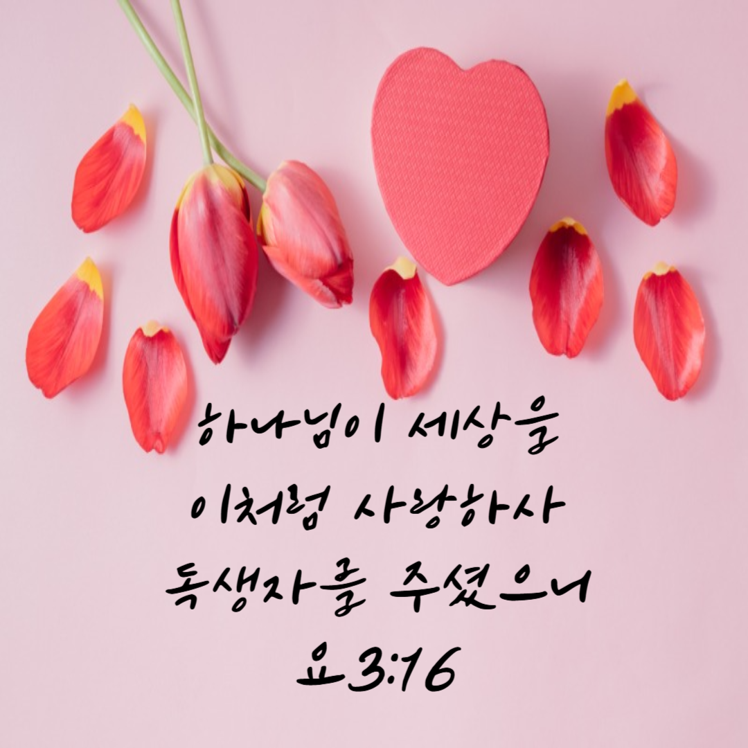 요3:16