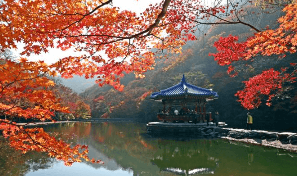 단풍구경-가볼만한-곳-내장산