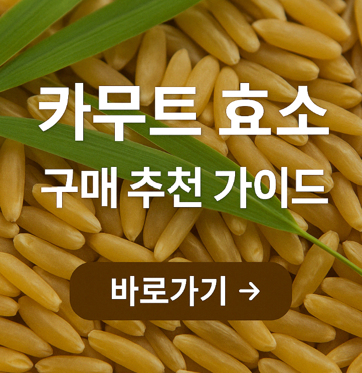 카무트 효소의 구매 추천 가이드 총정리