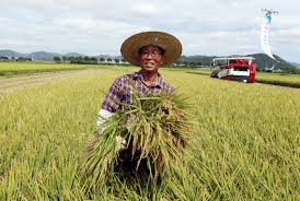 농민수당 자격 확인