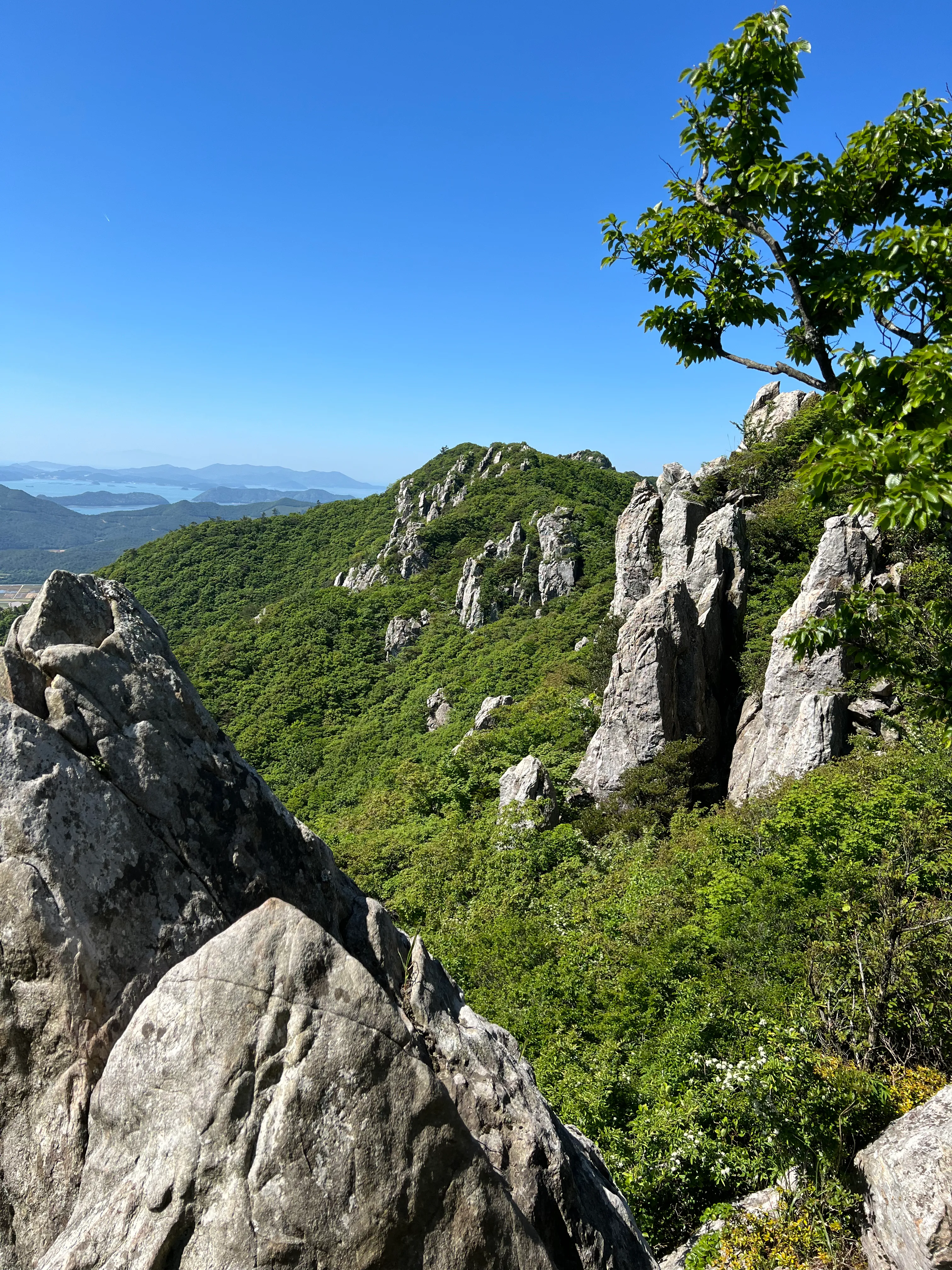 능이버섯-산행-채취-꿀팁-후기