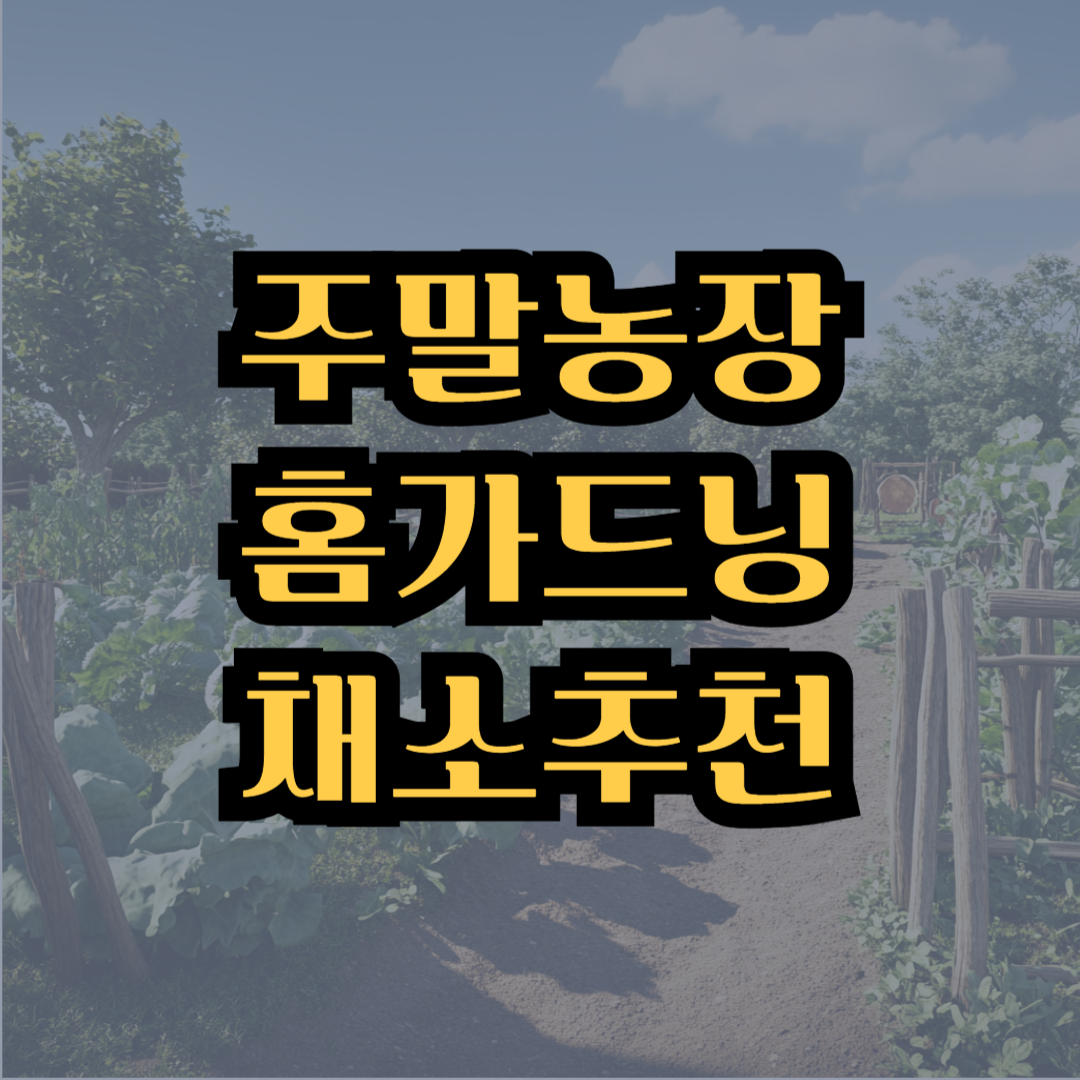 주말농장 홈가드닝 채소 추천