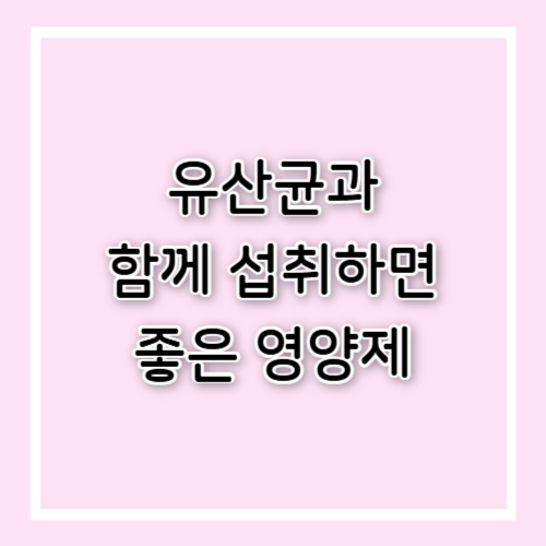 유산균과 함께 먹으면 좋은 영양제