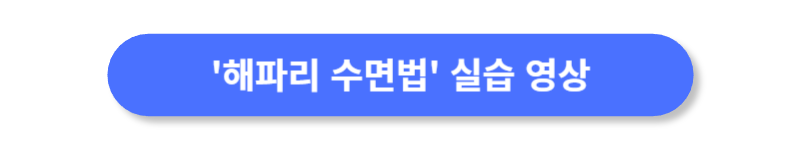 버튼