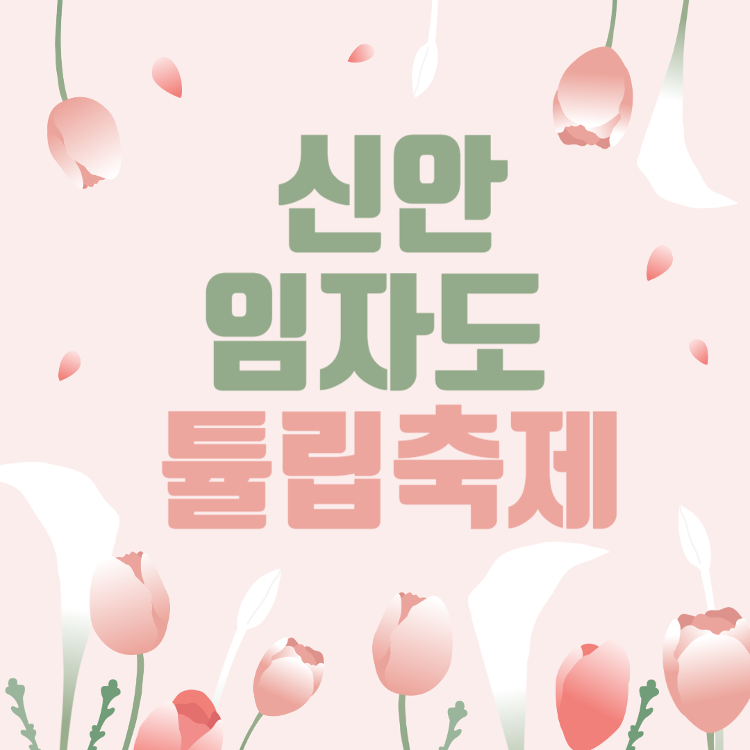 신안 임자도 튤립축제 기간 주차 꿀팁 총정리