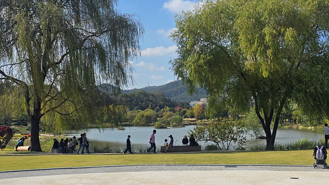 2025 순천만 국가정원 순천여행 맛집 현지인 추천 맛집 순천만 숙박