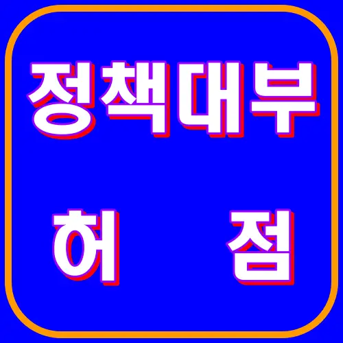 정책대부 허점