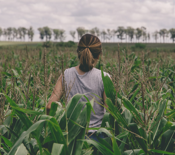 옥수수-밭에-회색-옷을-입고-서-있는-여자-뒷모습