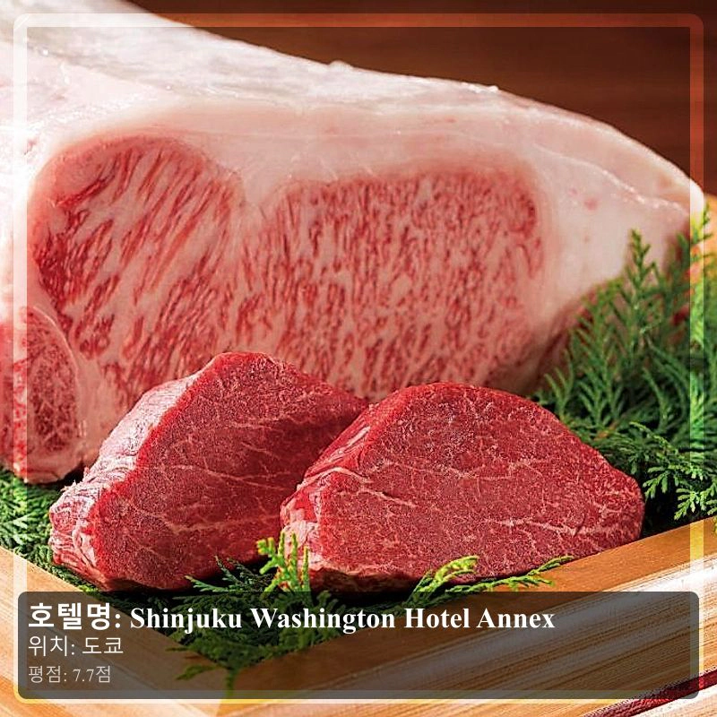 Shinjuku Washington Hotel Annex_6