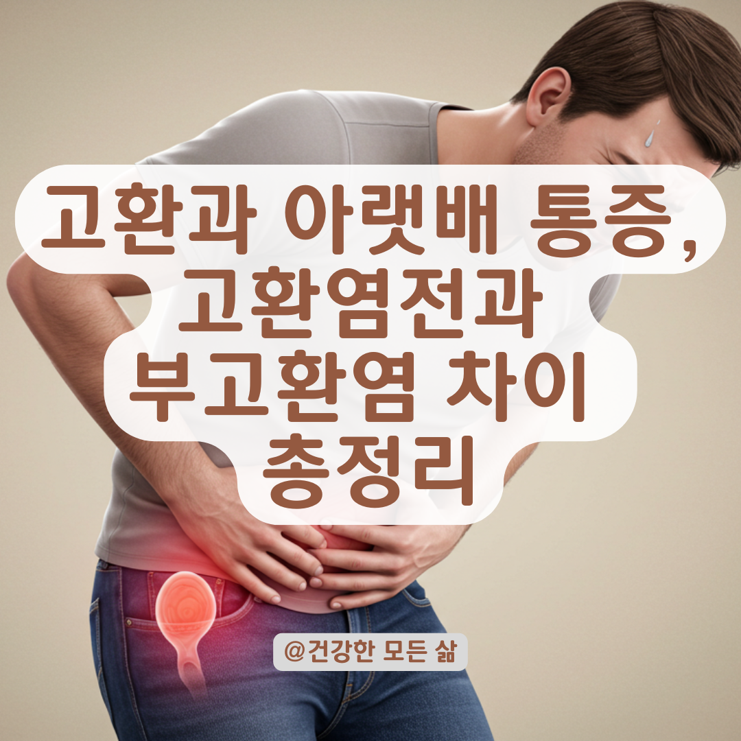 고환과 아랫배가 동시에 아프다면? 고환염전과 부고환염 구분법 정리.