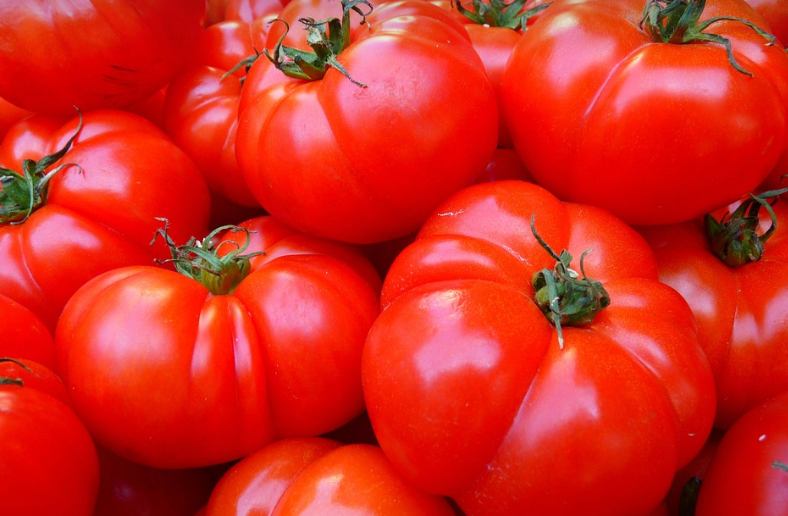 항산화 식품인토마토