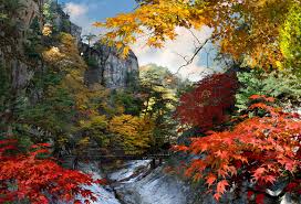 설악산 오색약수 주차장 꿀팁