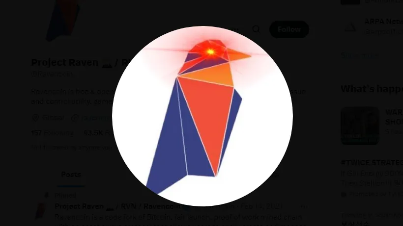 레이븐코인-심볼