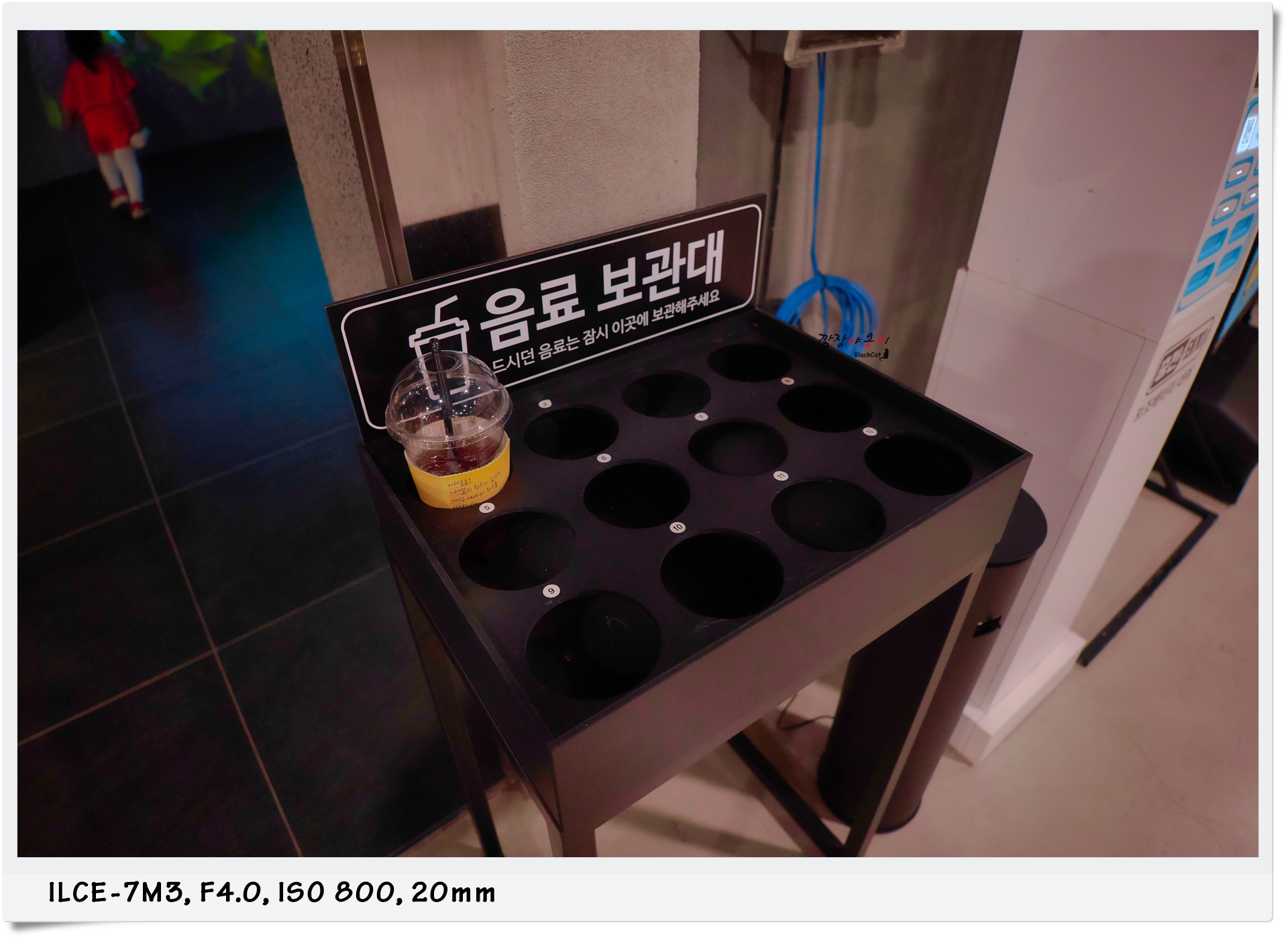 정글의 법칙 미디어파크 입구와 음식물 반입 안내