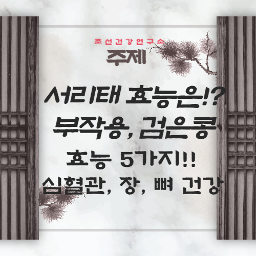 서리태 효능 5가지 검정콩 효능 부작용