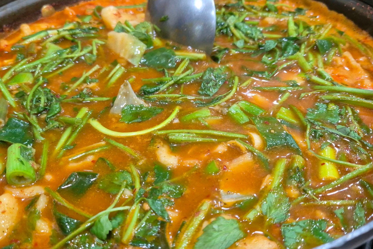 생방송투데이 한우물의 법칙 세종 메기매운탕 맛집 황우제매운탕