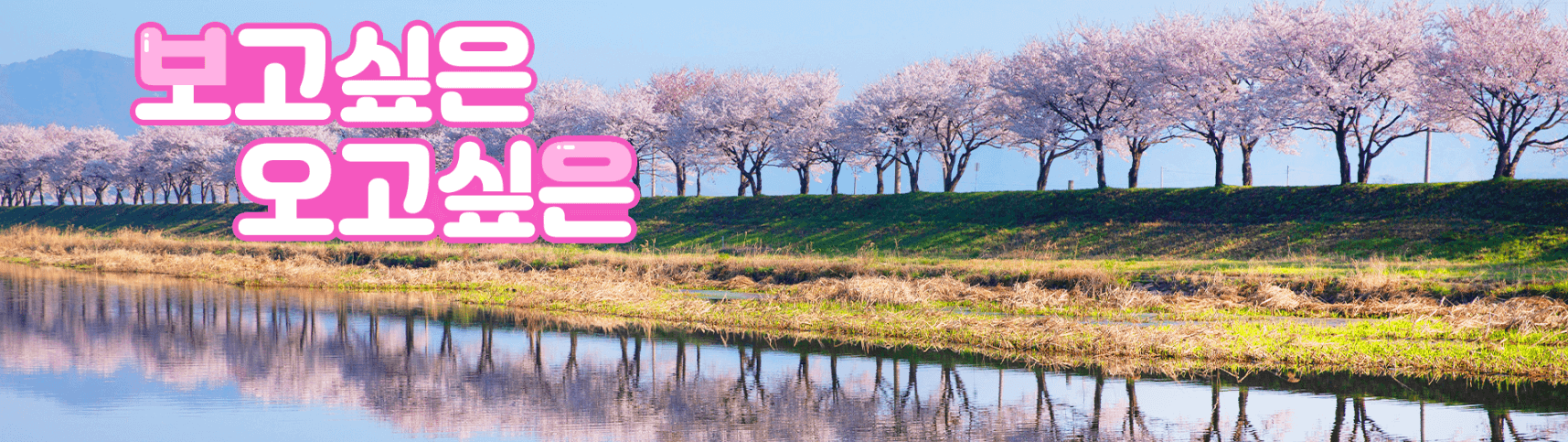 보고싶은 오고싶은