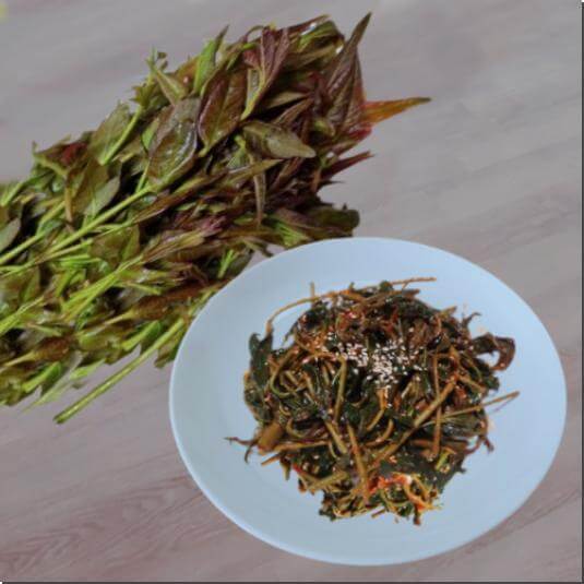 가죽나물 효능과 영양소 먹는 법과 주의점