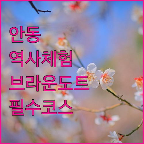 초등학생 역사 체험 여행 안동 브라운..
