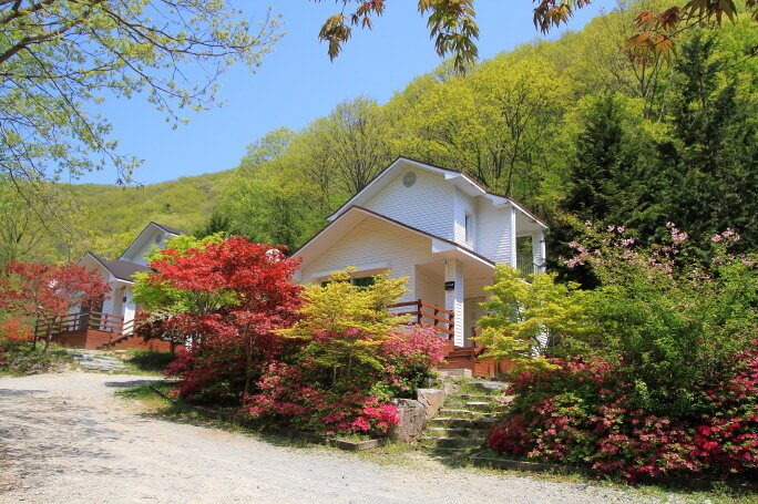 회문산 자연휴양림 온라인 예약하기 ❘ 숙소 야영장 캠핑장 실시간 예약 현황 보기 ❘ 전북 순창군