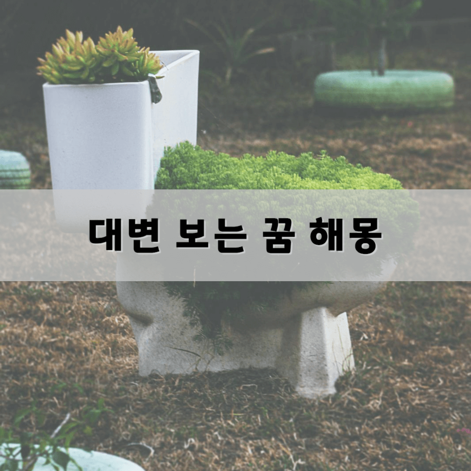 대변-보는-꿈-해몽-풀이의-의미와-해석