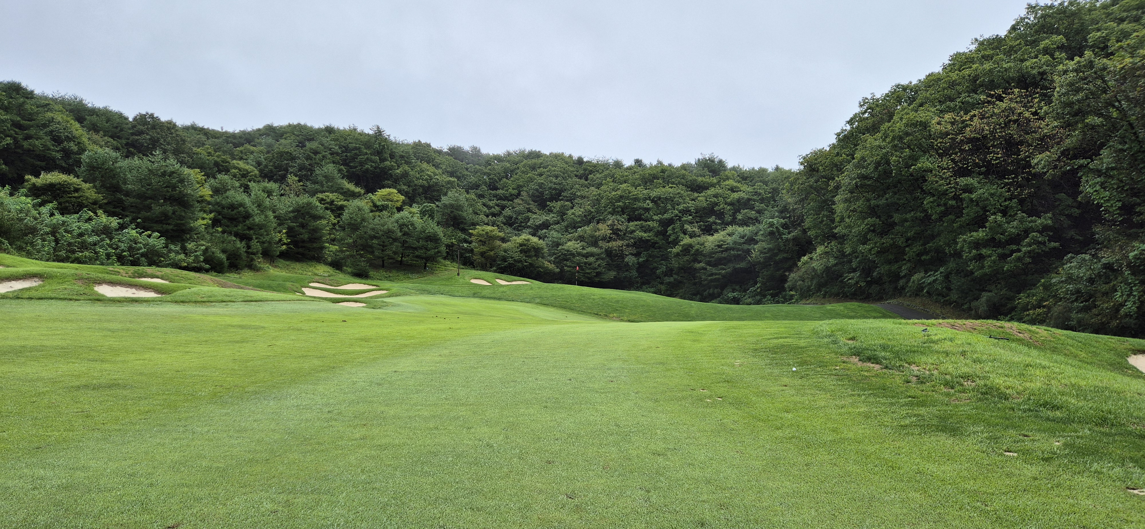 더플레이어스cc