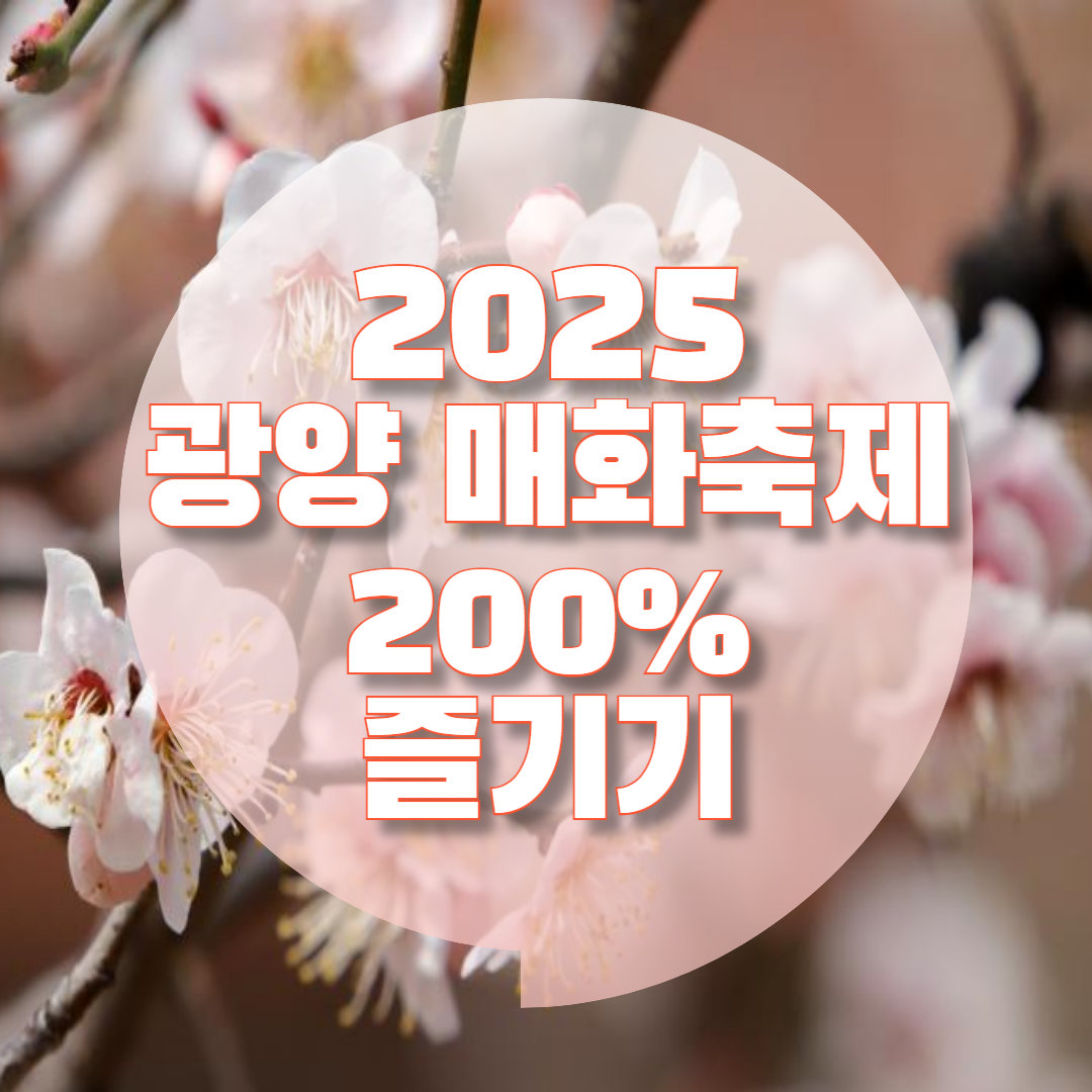 매화 배경의 제목 사진