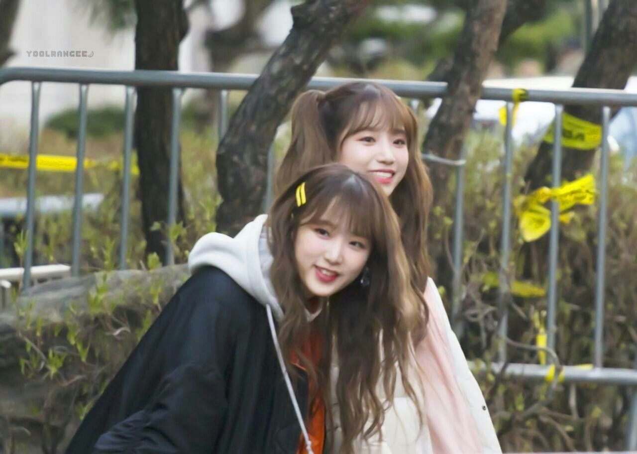 아이즈원 프로듀스48 사진 모음 아이즈원 프로듀스48 사진 모음