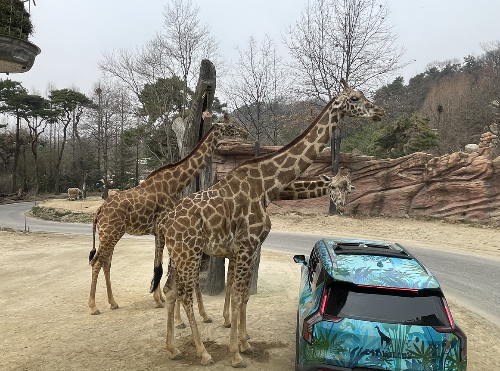 에버랜드 로스트밸리