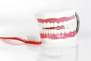 치아