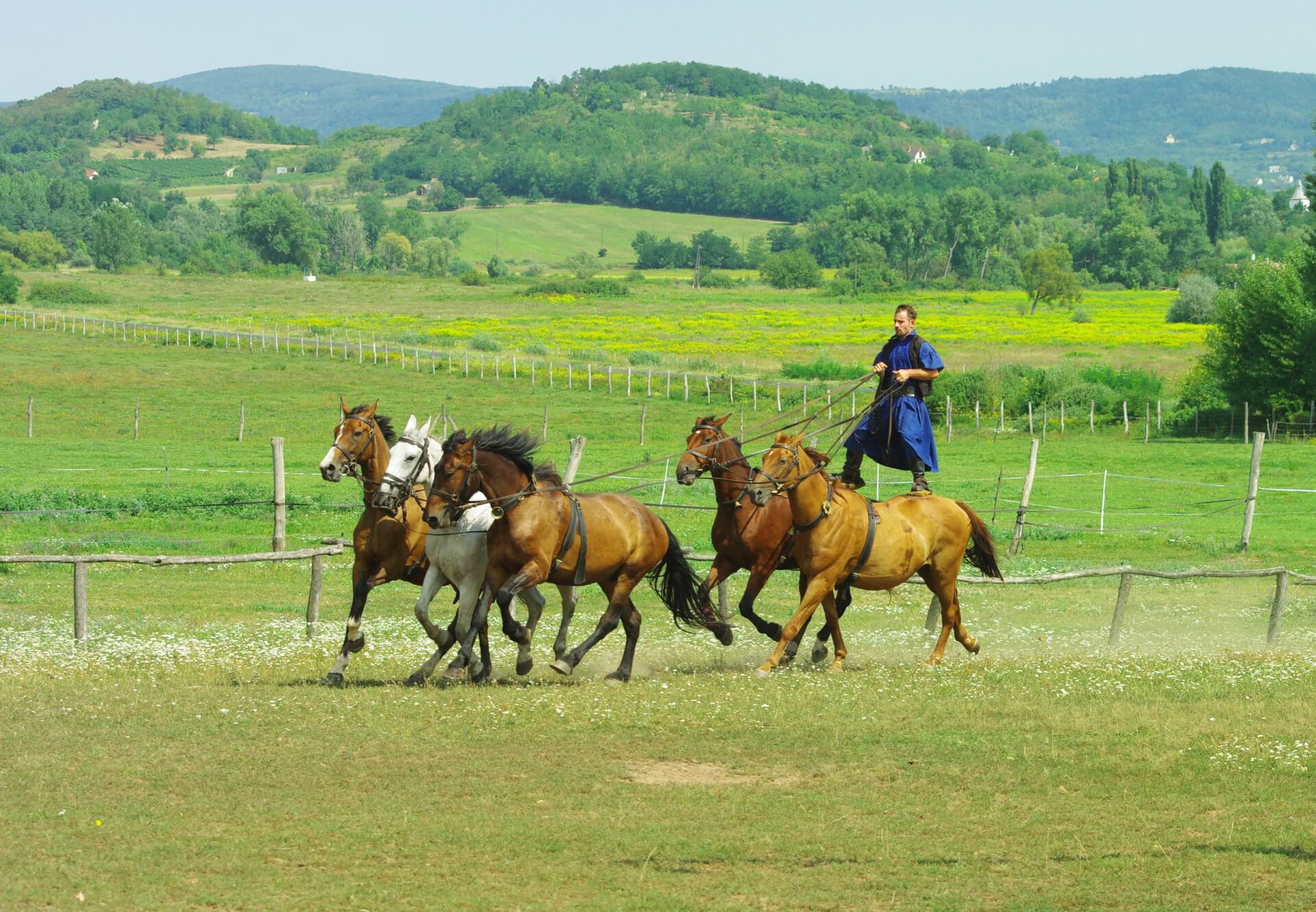헝가리 여행 가이드: 중부 유럽의 심장부