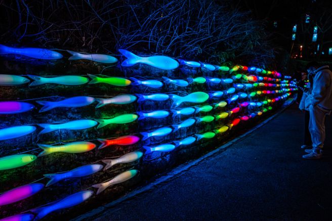 진주 남강 유등축제 2024 &amp;#44; 구경할거리&amp;#44; 먹거리&amp;#44; 주차 꿀팁 총정리