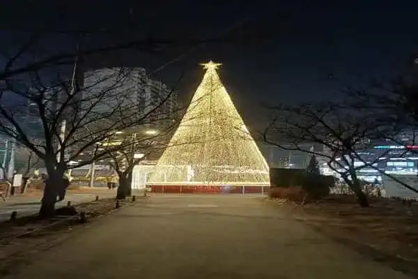 아들러 심리학이 말하는 마음의 자유를 얻기 위한 '미움받을 용기'와 자존감에 대해 알아보자.