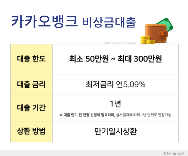 비상금대출