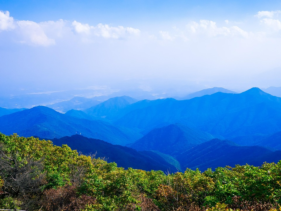 한국 산야초 소백산
