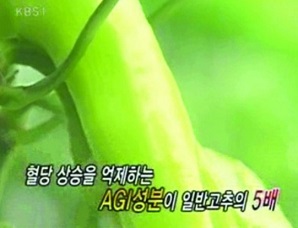 AGI성분이많은당조고추