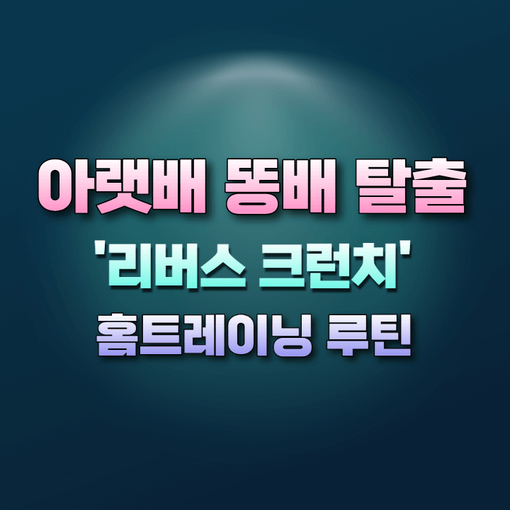 리버스크런치홈트레이닝루틴