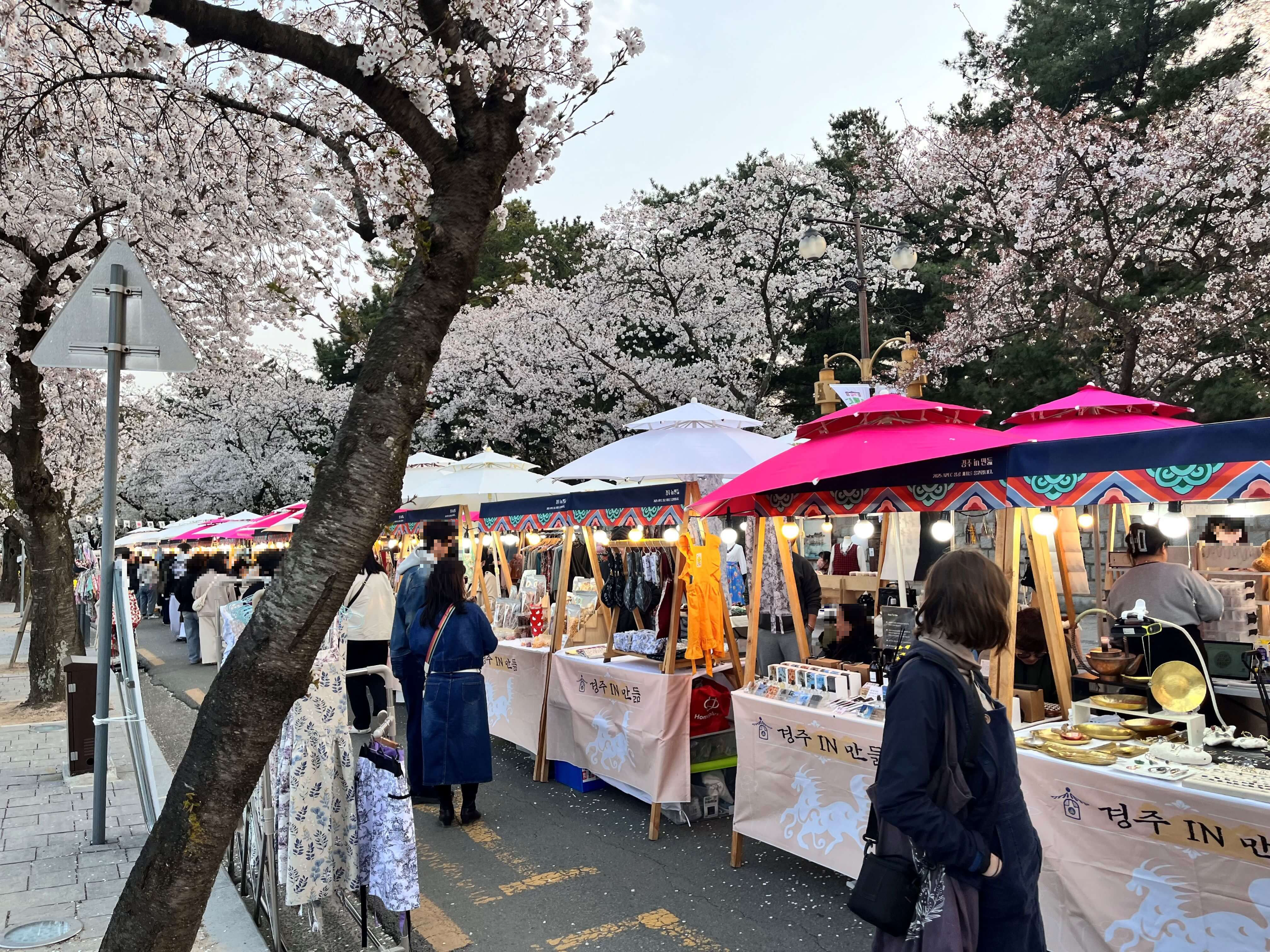 대릉원 돌담길에서 벚꽃구경