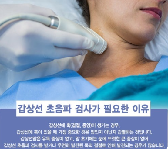 갑상성 초음파 관련 사진