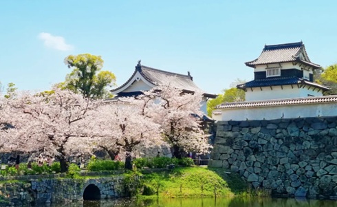 후쿠오카 오호리 공원의 낮