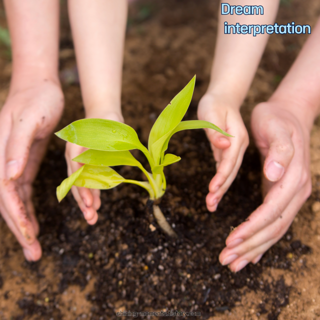 🌸 봄날 나무, 식목일과 관련된 20가지 꿈 해몽 🌸