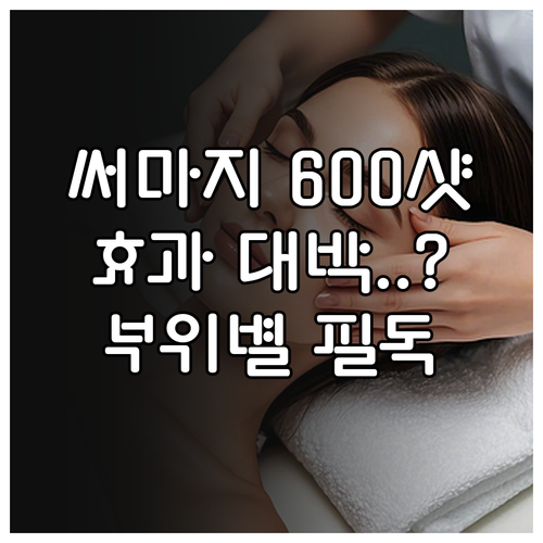 써마지 FLX 600샷 시술 효과와 ..
