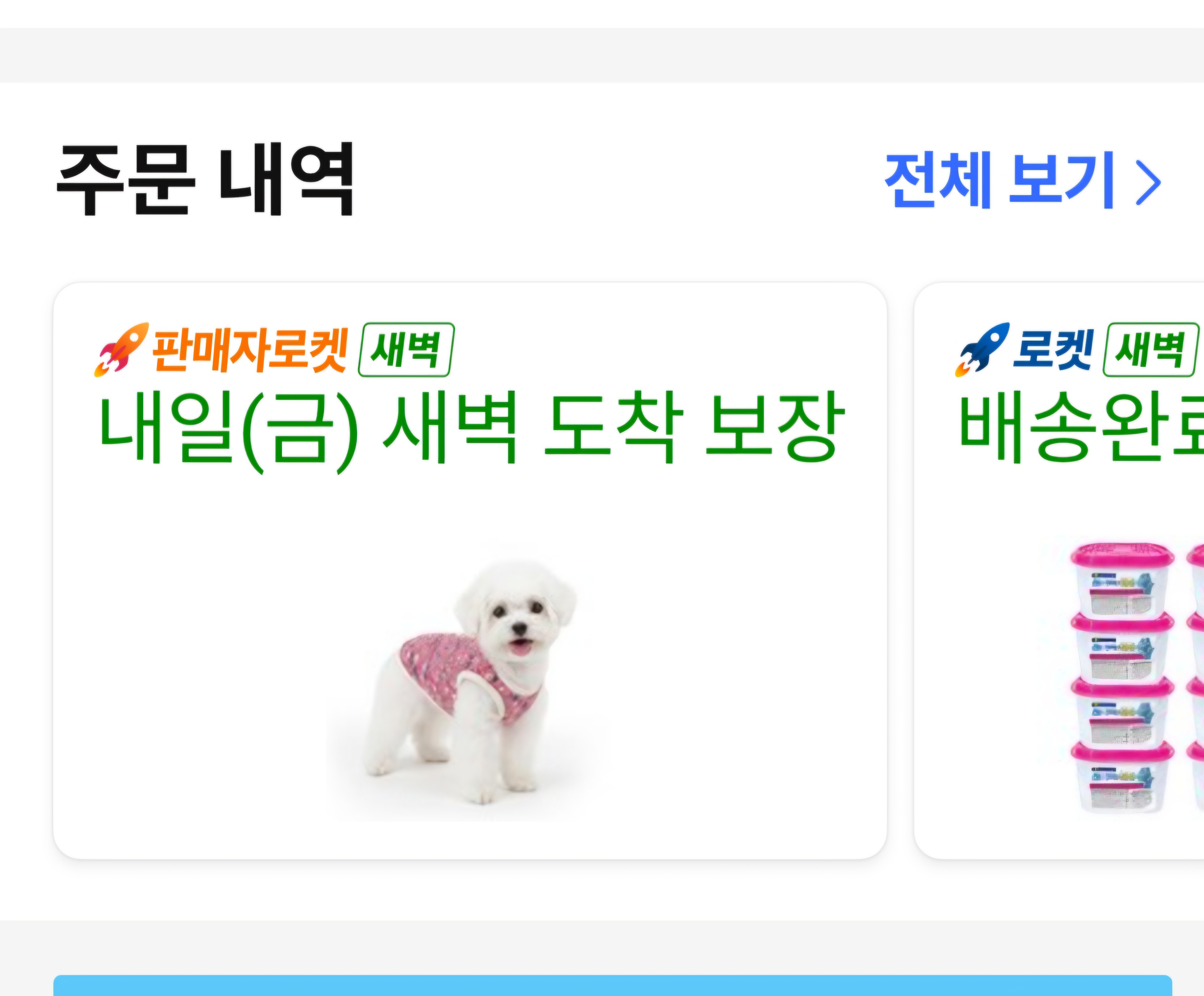 김장 조끼 구매 인증