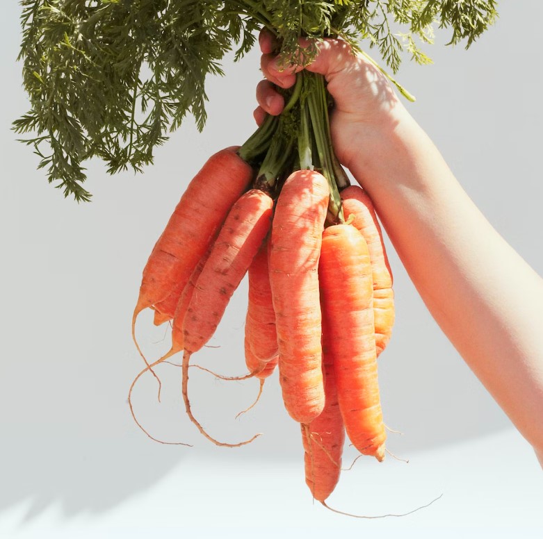 당근과 궁합이 좋은 과일