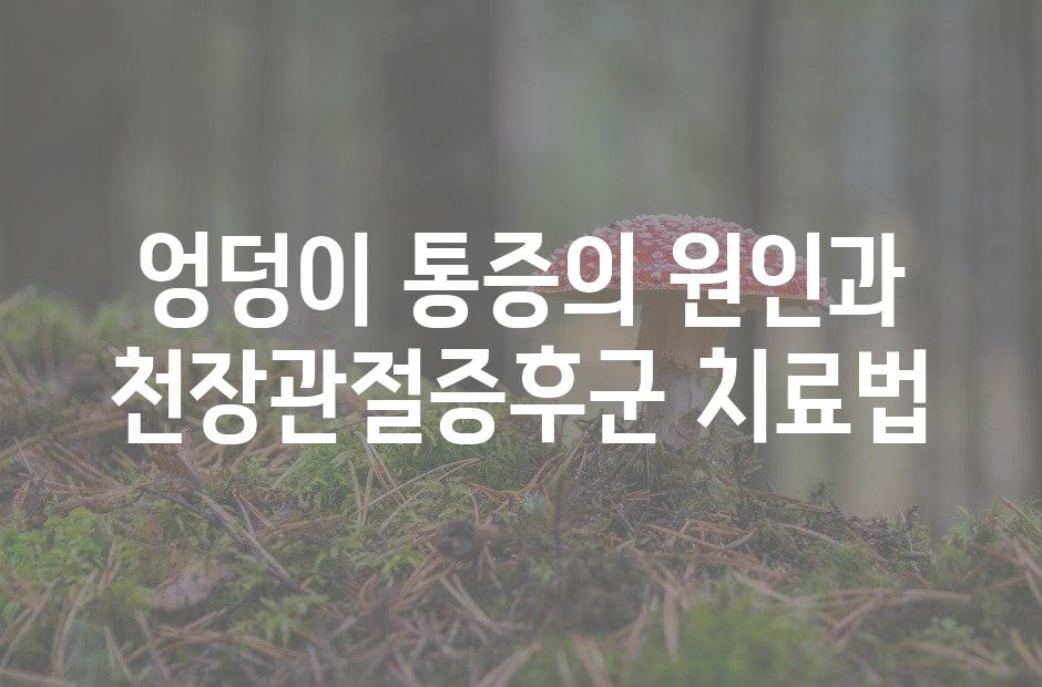 샘플 (42)